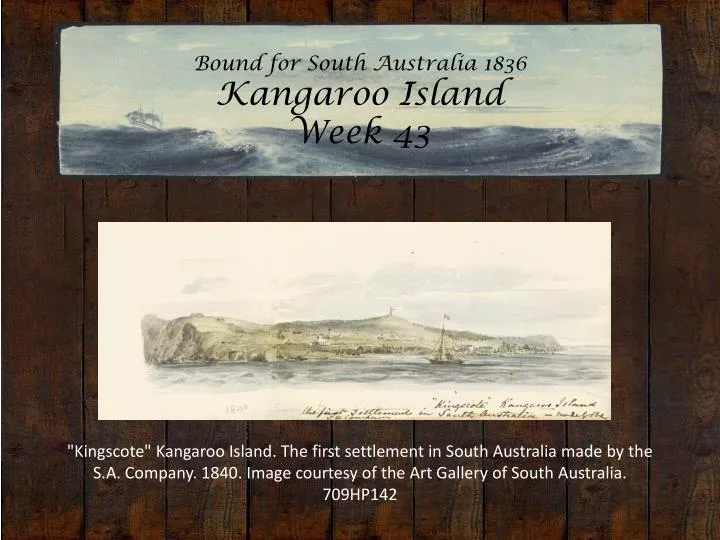 bound for south australia 1836 kangaroo island week 43