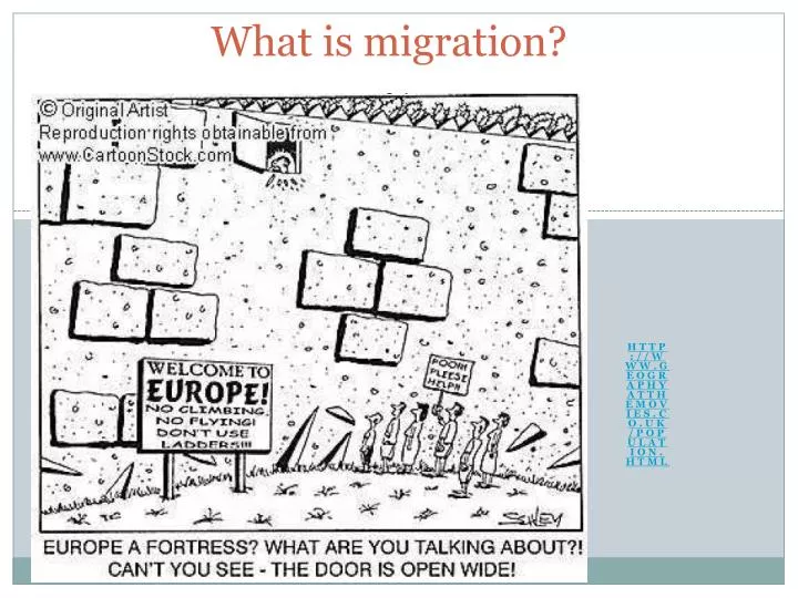 what is migration