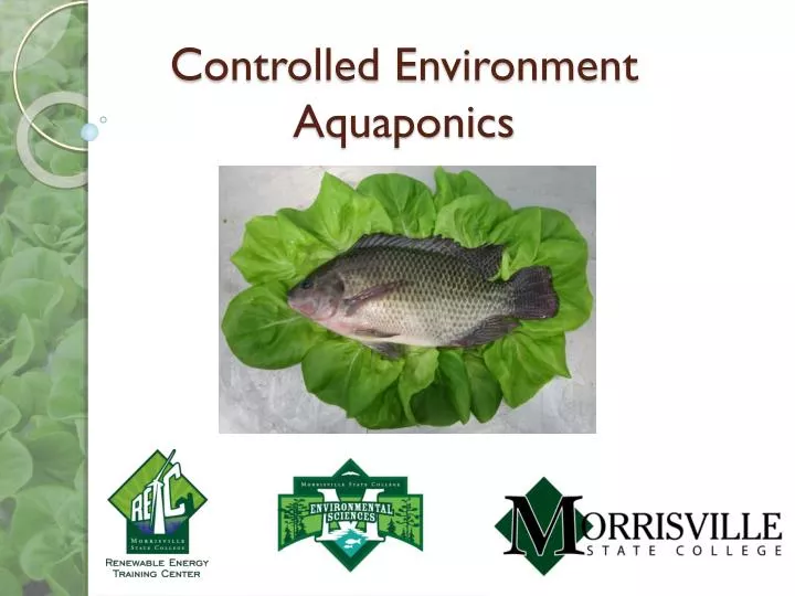 controlled environment aquaponics