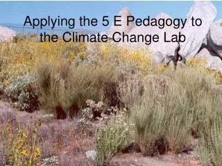 Applying the 5 E Pedagogy to the Climate Change Lab