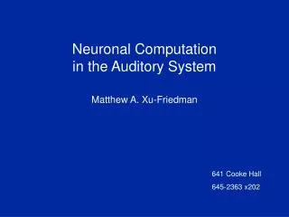 Neuronal Computation in the Auditory System