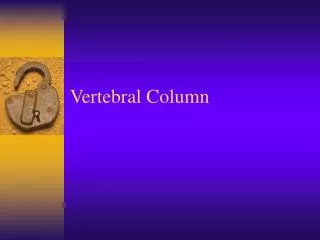 Vertebral Column