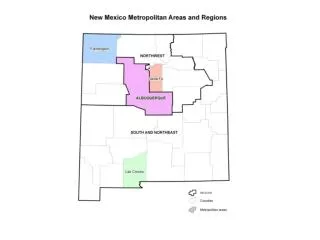Key Demographic Segments: Albuquerque Metro, and NM