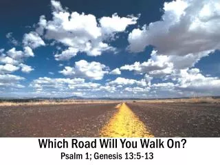 Which Road Will You Walk On?