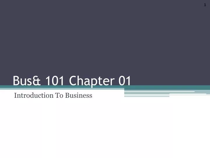 bus 101 chapter 01