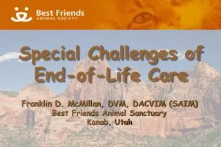 Special Challenges of End-of-Life Care