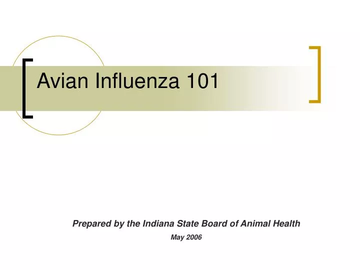 avian influenza 101