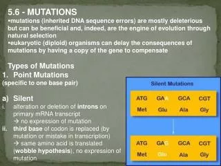 5.6 - MUTATIONS