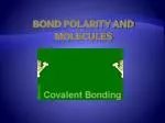 Bond Polarity and Molecules