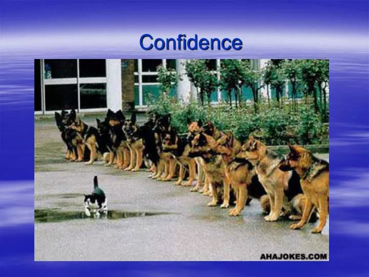 confidence