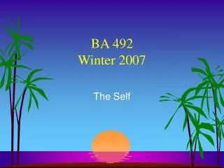BA 492 Winter 2007