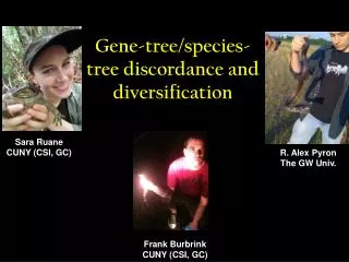 Gene-tree/species-tree discordance and diversification
