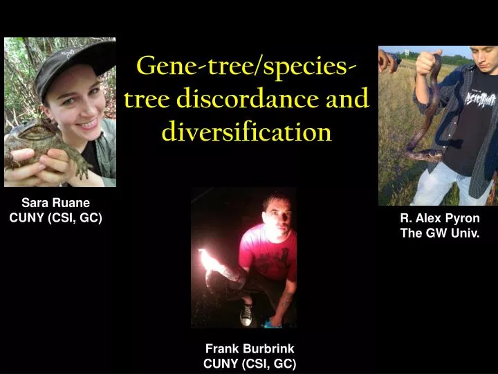 gene tree species tree discordance and diversification
