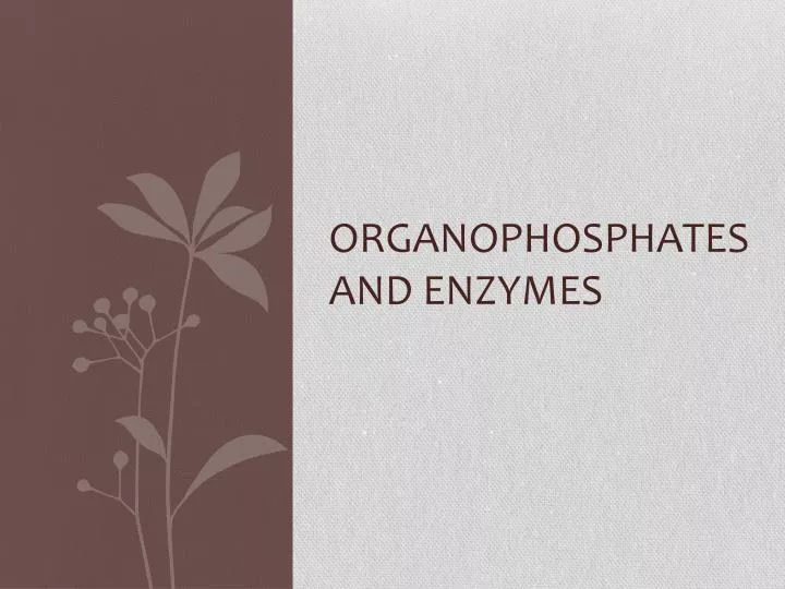 organophosphates and enzymes