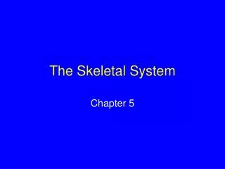 The Skeletal System