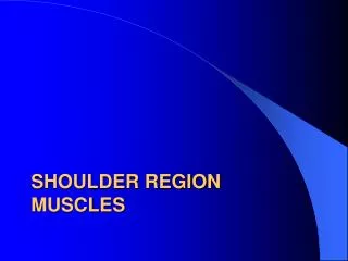 Shoulder region muscles