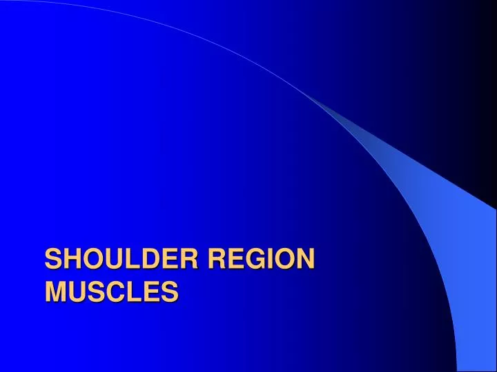 shoulder region muscles