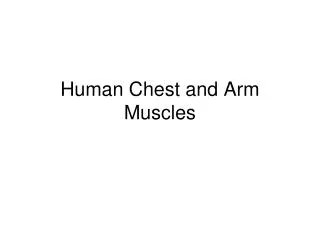 Human Chest and Arm Muscles