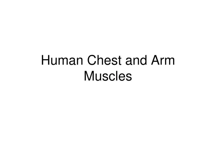 human chest and arm muscles