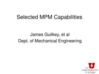 Selected MPM Capabilities