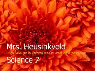 Mrs. Heusinkveld Hugh-SINK (as in kitchen)-V-as in victor-e-l-d (as in dog) Science 7