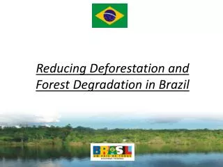 Reducing Deforestation and Forest Degradation in Brazil