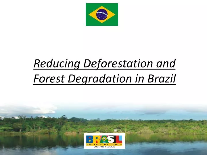 reducing deforestation and forest degradation in brazil