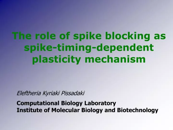 the role of spike blocking as spike timing dependent plasticity mechanism