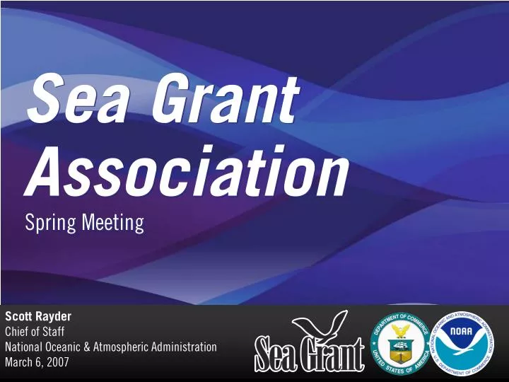 sea grant association