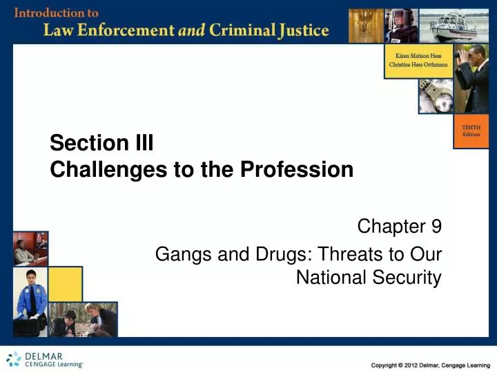 section iii challenges to the profession