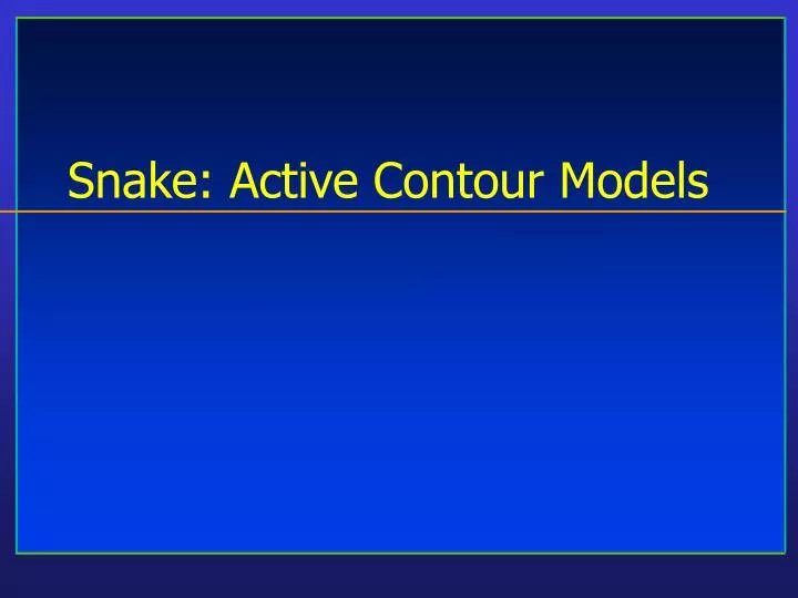 snake active contour models