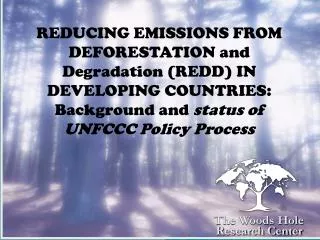 REDUCING EMISSIONS FROM DEFORESTATION and Degradation (REDD) IN DEVELOPING COUNTRIES: Background and status of UNFCCC P