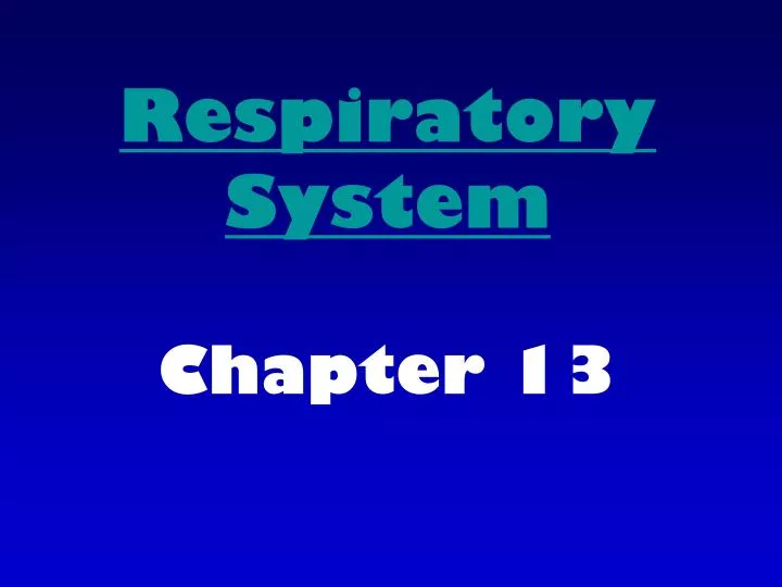respiratory system chapter 13