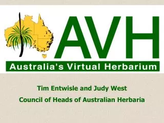 AVH - Australia’s Virtual Herbarium Logo
