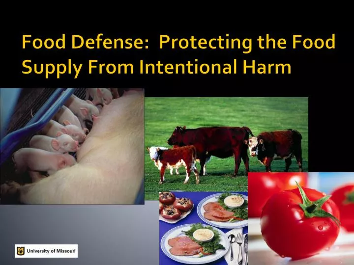 food defense protecting the food supply from intentional harm