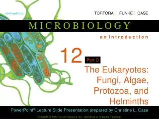 The Eukaryotes: Fungi, Algae, Protozoa, and Helminths