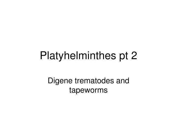 platyhelminthes pt 2