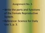 Assignment No. 5 - slide 1