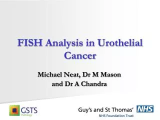FISH Analysis in Urothelial Cancer