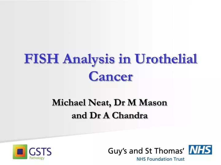 fish analysis in urothelial cancer