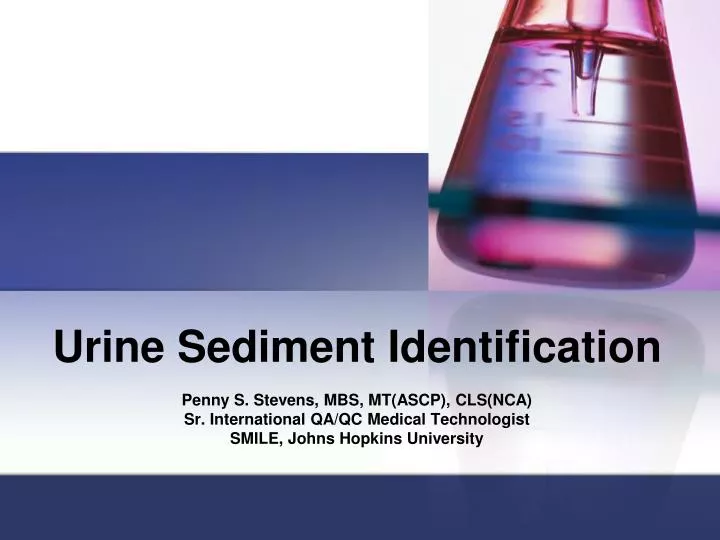 urine sediment identification