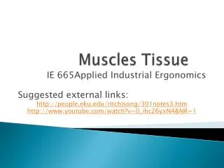Muscles Tissue