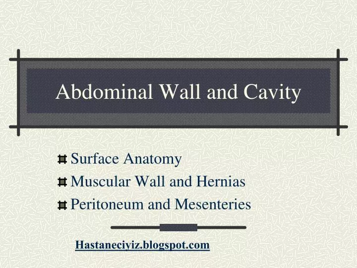 abdominal wall and cavity