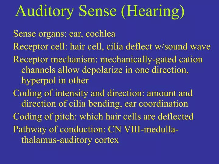auditory sense hearing