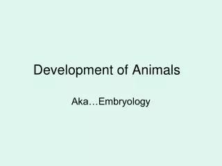 Development of Animals