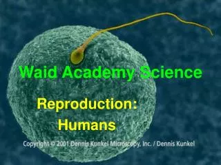 waid academy science