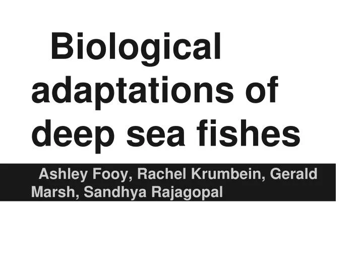 biological adaptations of deep sea fishes