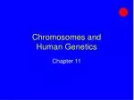 Chromosomes and Human Genetics