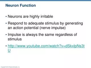Neuron Function