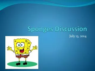 Sponges Discussion